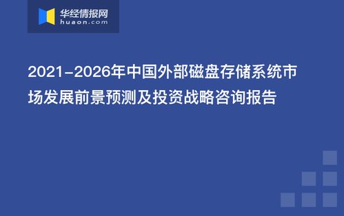 2021-2026年中國外部磁盤存儲系統(tǒng)市場發(fā)展前景預(yù)測及投資戰(zhàn)略咨詢報告