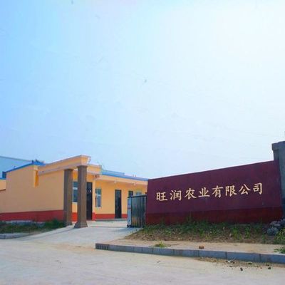 旺潤肥料廠家 專業有機肥與水溶肥定制加工，創新驅動農業未來